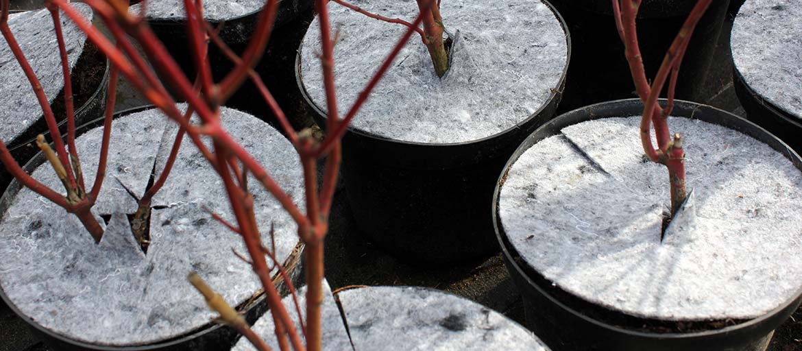 Plant pot discs made of nonwoven fabric – protection against weeds Poland